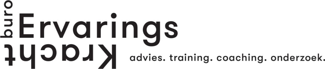 BURO ERVARINGSKRACHT logo small
