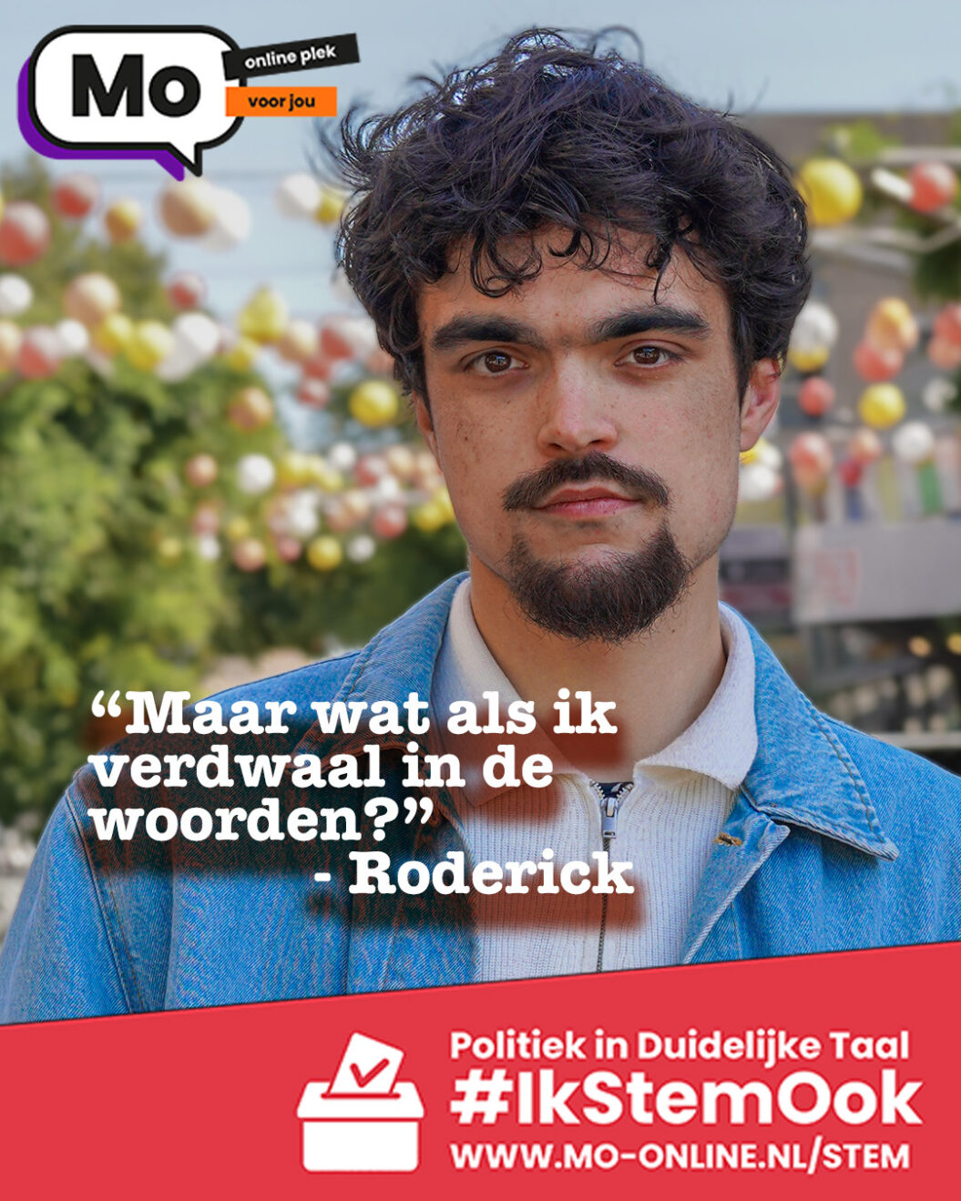 Politiek in duidelijke taal Roderick insta