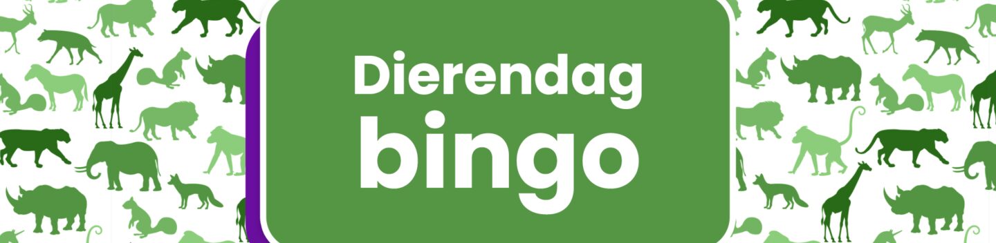 Dierendag bingo banner 2