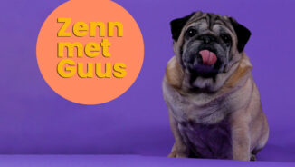 Zenn met guus blok