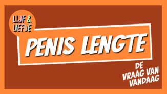 PENIS 02 Tekengebied 1