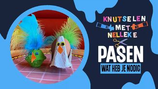 Kip haan