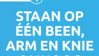 Staan Op 1 Been Arm Omhoog N3