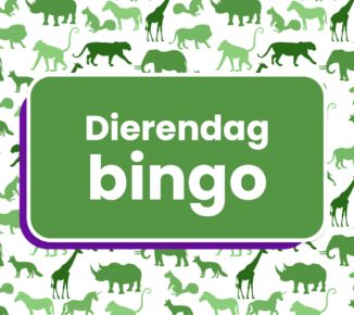 Dierendag bingo IG 2